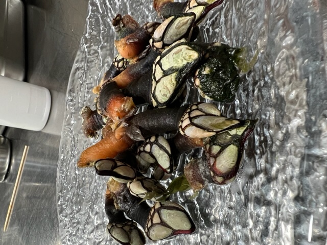 Percebe Rías Gallegas Gordo Extra 25€/100gr.